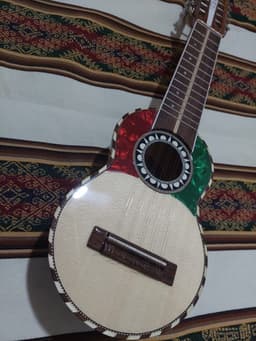 Vista 1